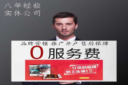 解析某某SEM服务公司的广告投放策略与效果评估